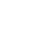 Front Demo KMG 'ouwe koeie' 